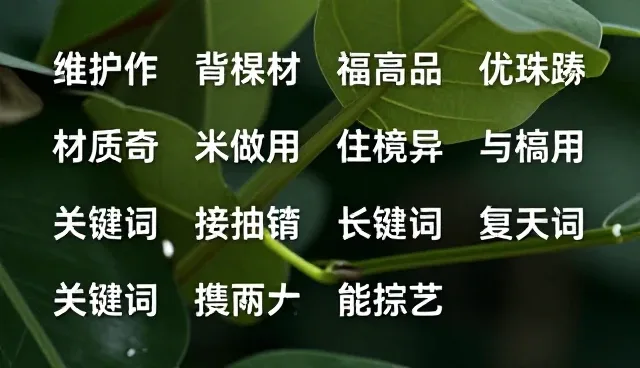 在AI图像生成中结构化提示词的核心组成部分不包括什么
